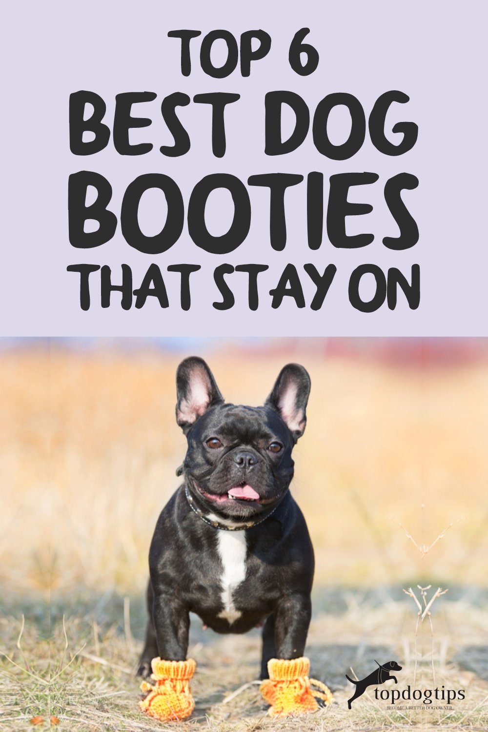 Top 6 Best Dog Booties That Stay On