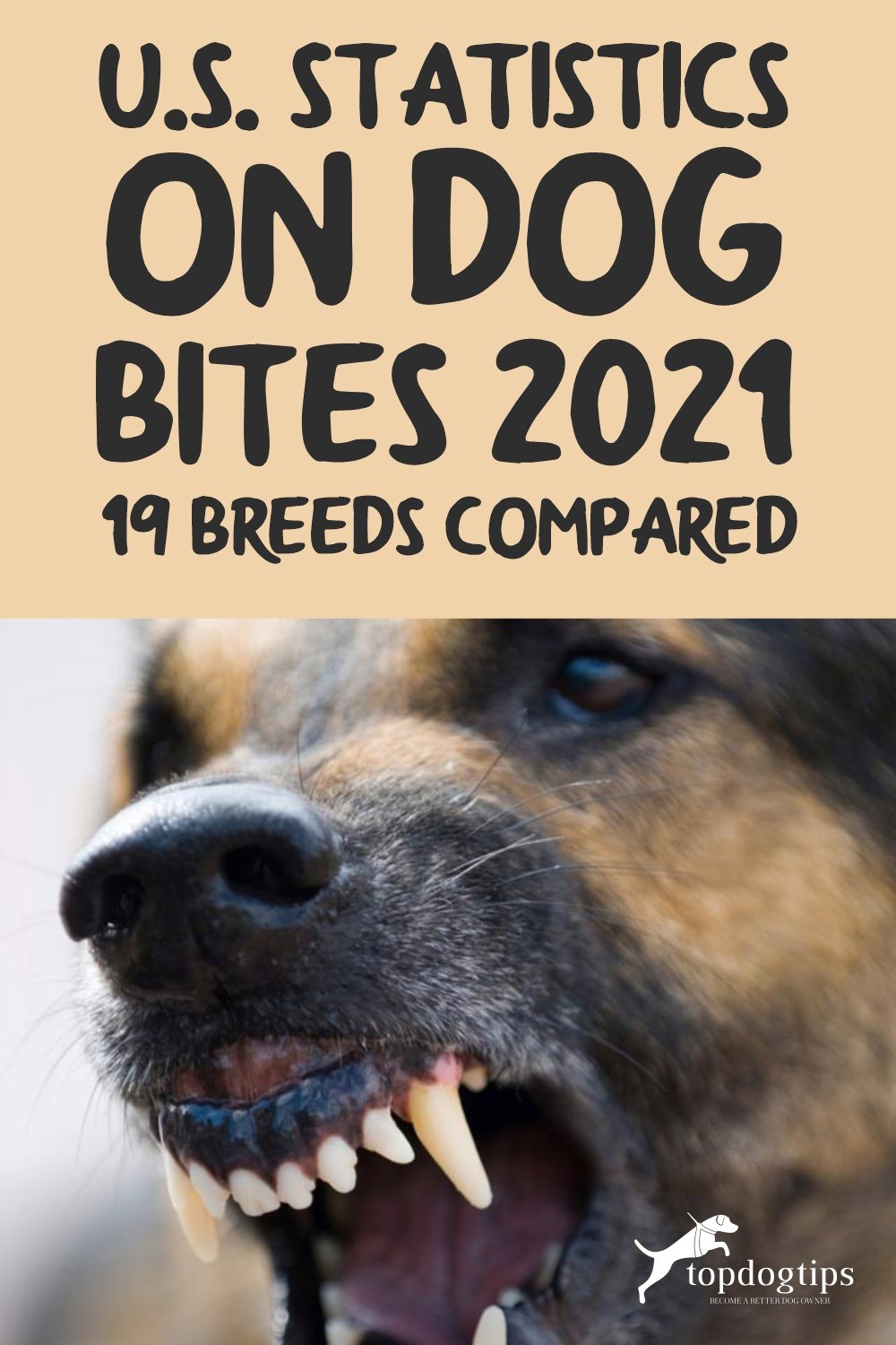 U.S. Statistics on Dog Bites 2021 (19 Breeds Compared)