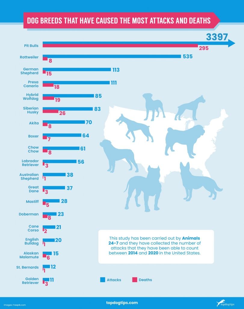 US Statistics on Dog Bites