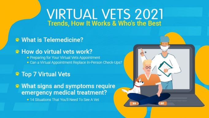 Virtual Vets 2021 banner