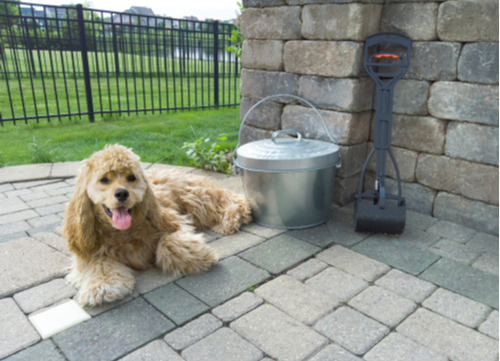 dog waste composter