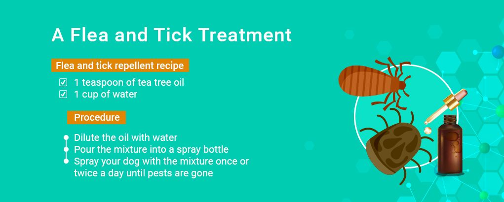 benefits of tea tree oil, flea and tick treatment