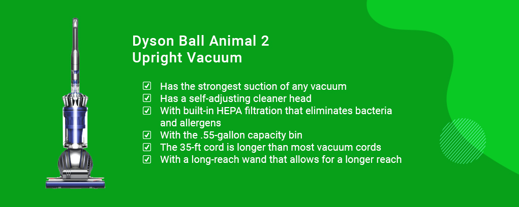 Dyson Ball Animal 2 Total Clean Upright Vacuum Cleaner, Blue best vacuums for dog hair