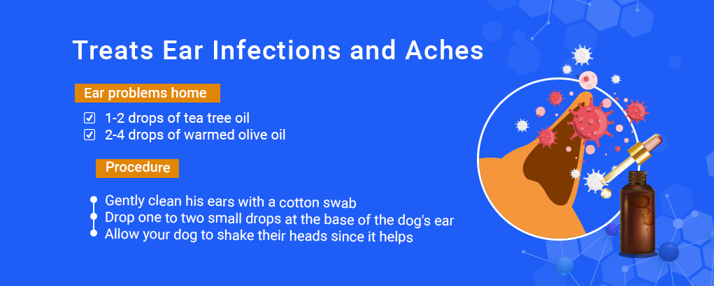 tea tree oil for dogs, infections and aches