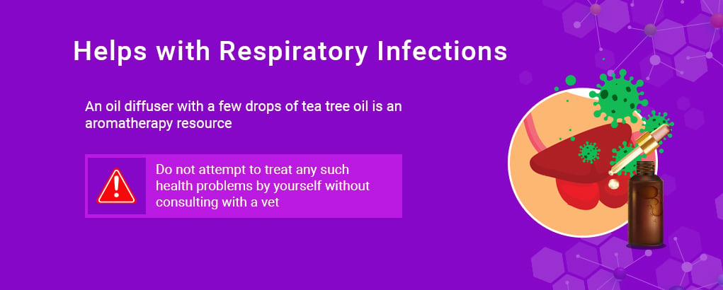 respiratory infections treated by tea tree oil for dogs