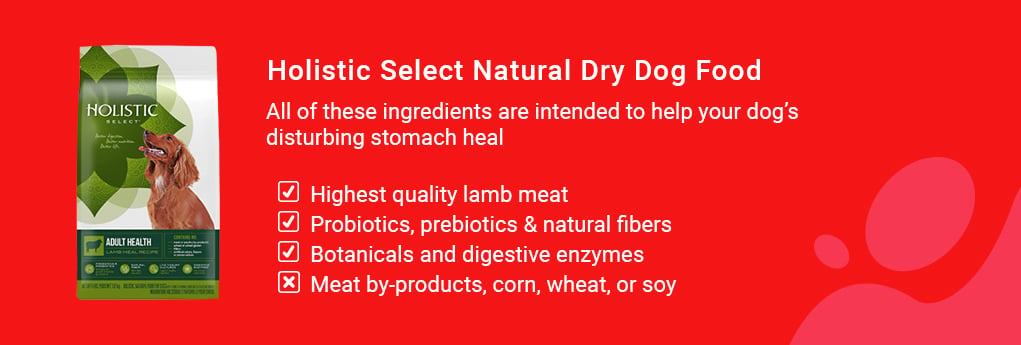 Holistic Select Natural Dry Dog Food