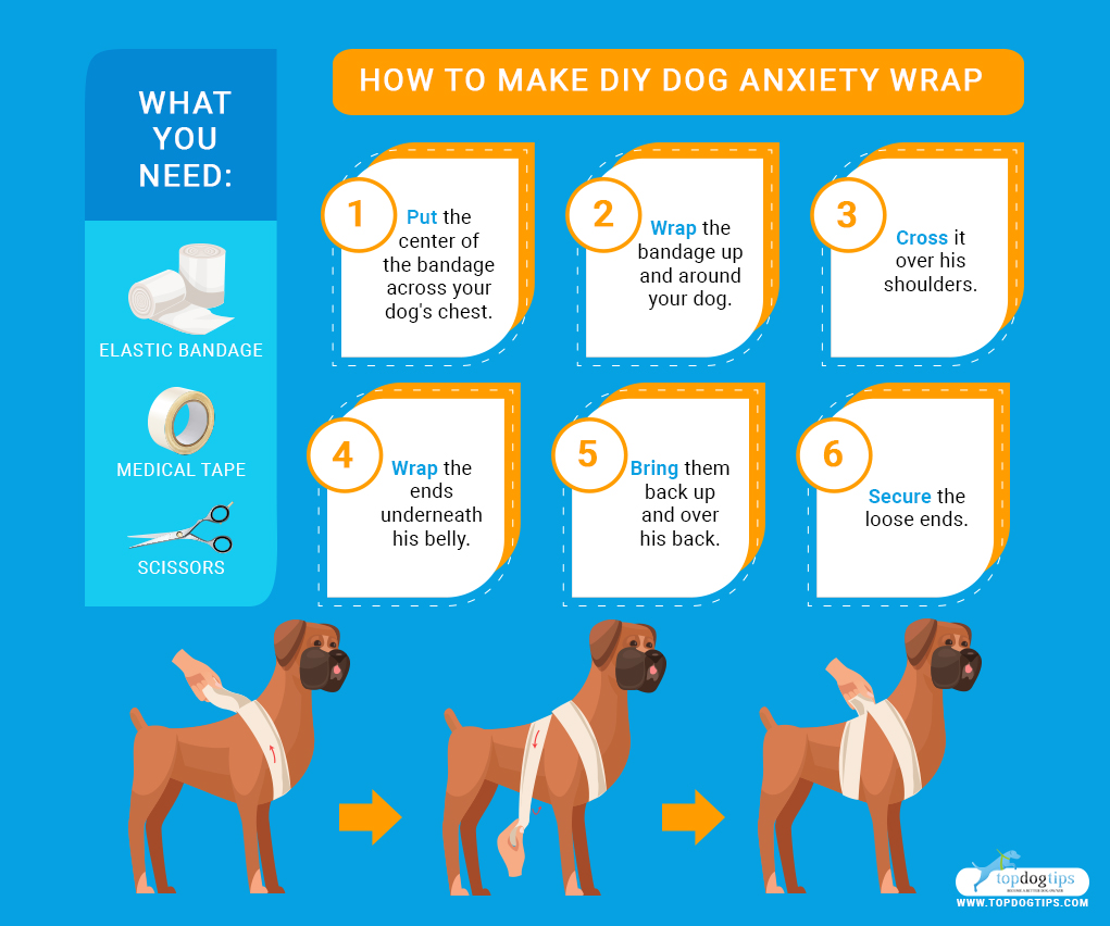 DIY Dog Anxiety Wrap 