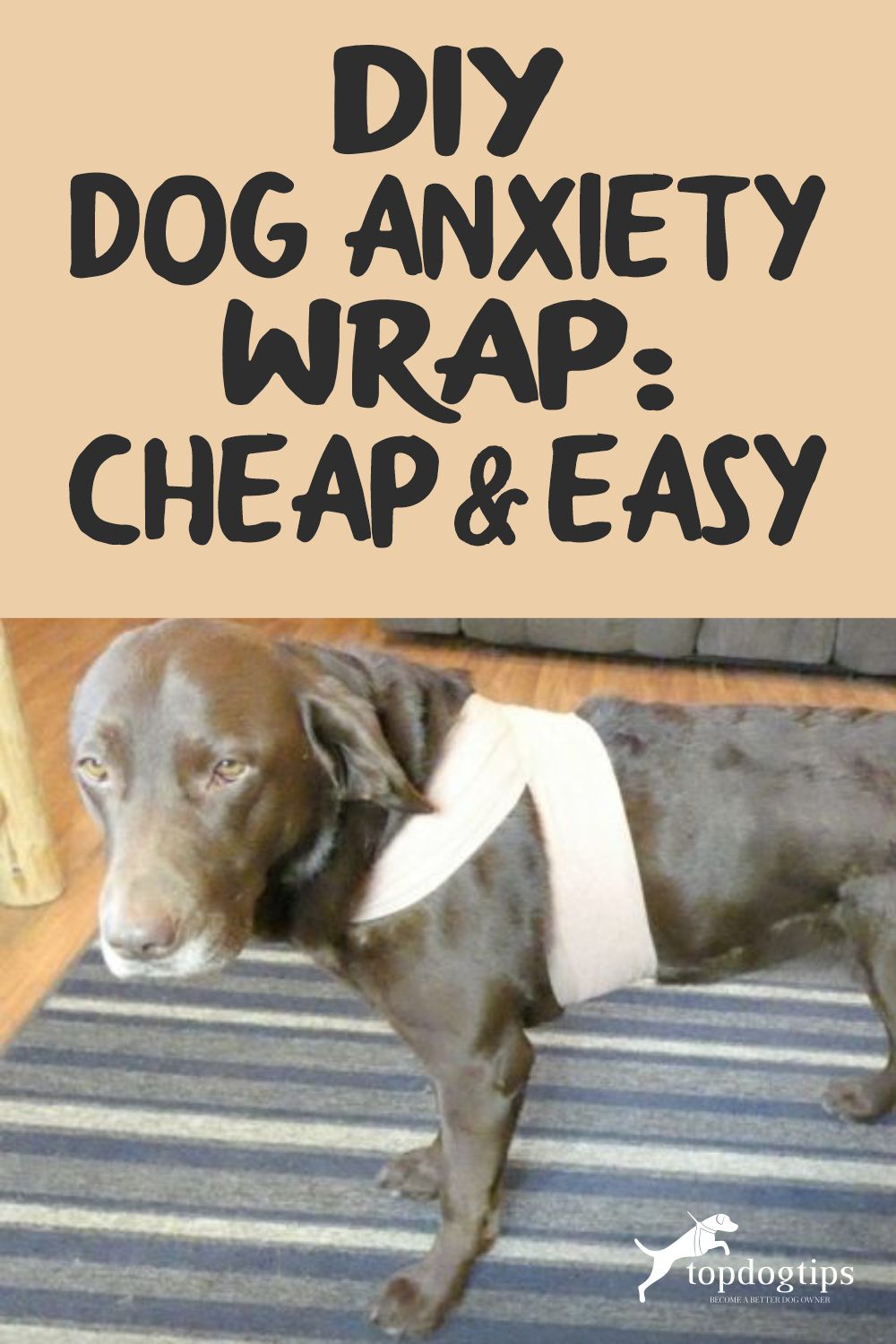 DIY Dog Anxiety Wrap