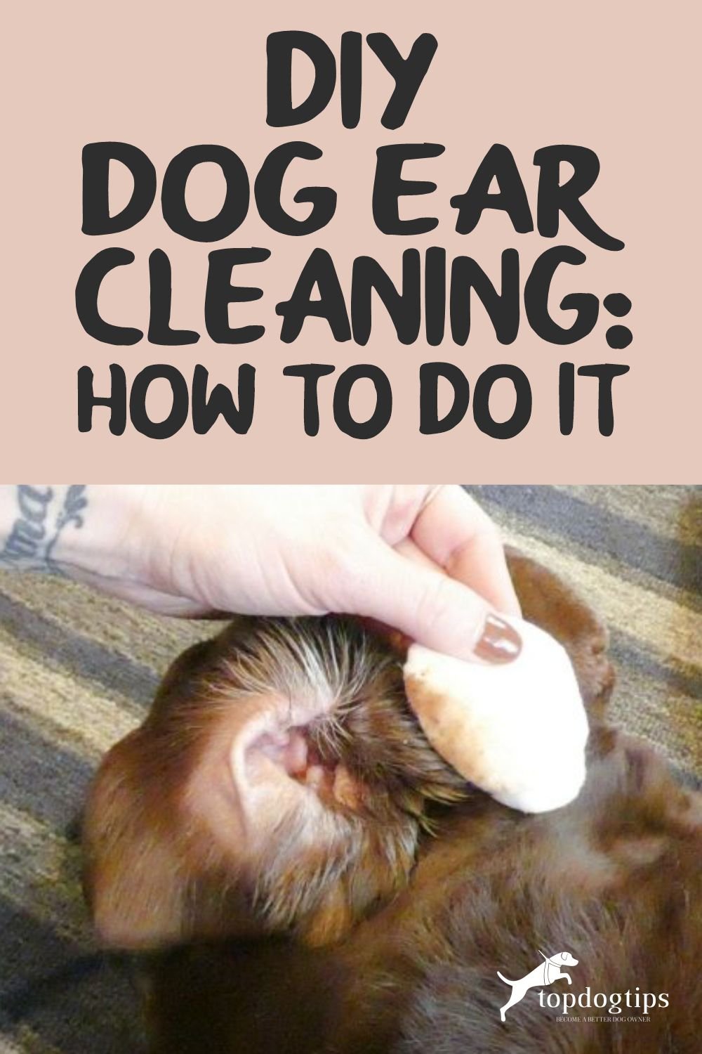 DIY Dog Ear Cleaning