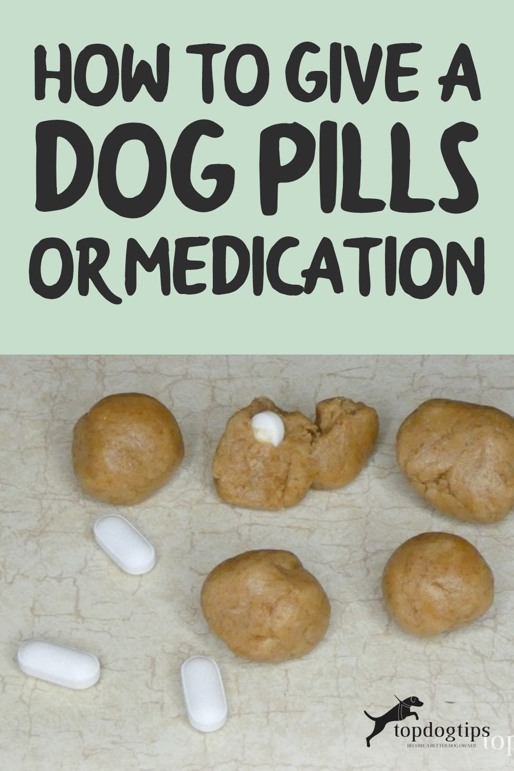 Give A Dog Pills 