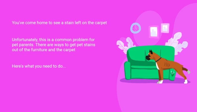 How to Get Pet Stains Out of the Carpet and Furniture