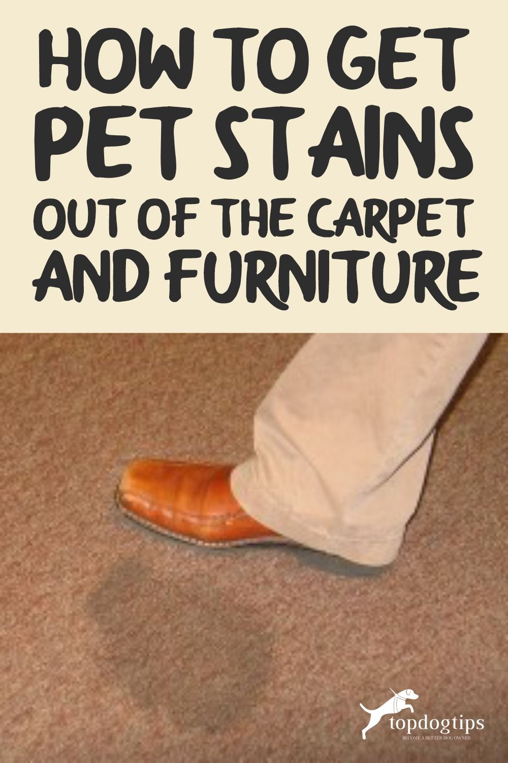 Pet Stains 