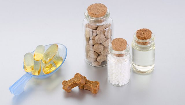 Natural Antibiotics for Dogs