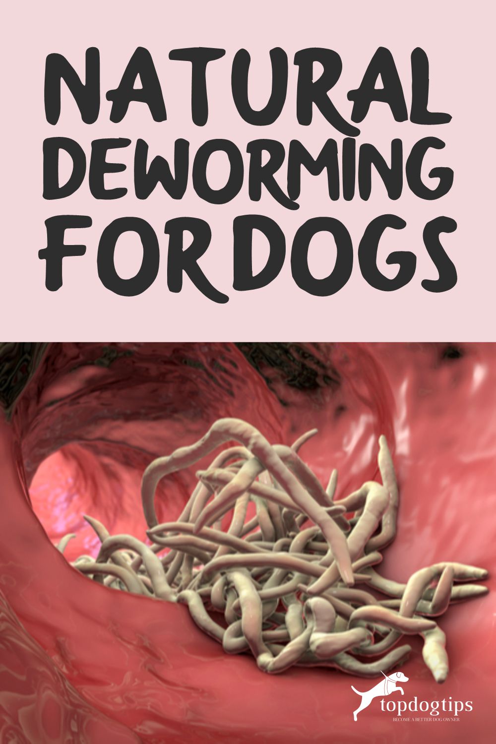 Natural Deworming 