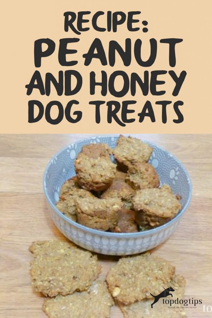 Peanut and Honey Dog Treats