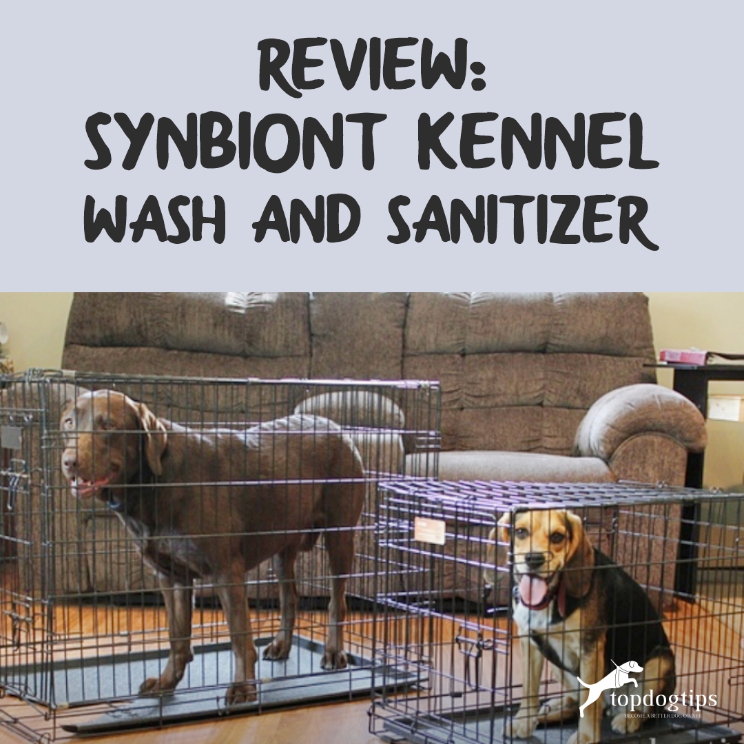 Synbiont Kennel Wash 