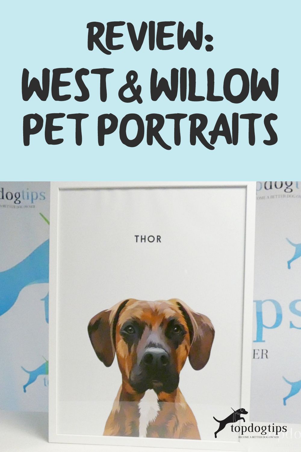 West - Willow Pet Portraits