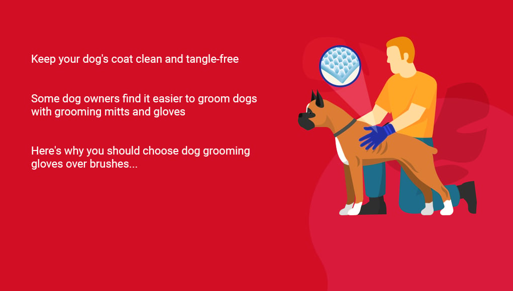 The Best Dog Grooming Mitts and Gloves