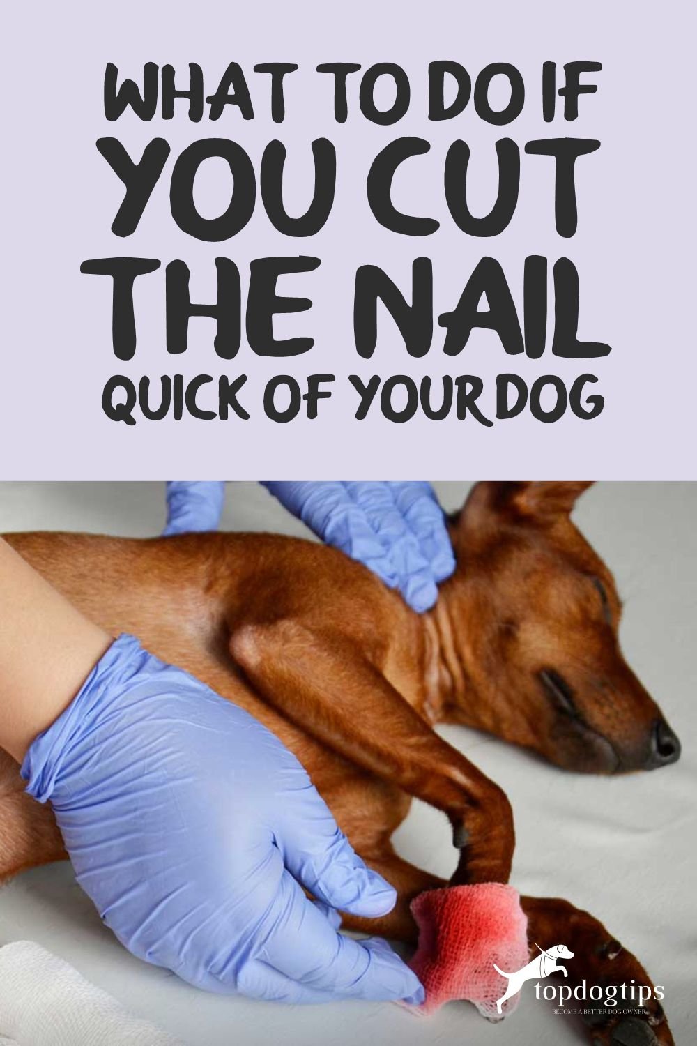 Cut the Nail Quick 