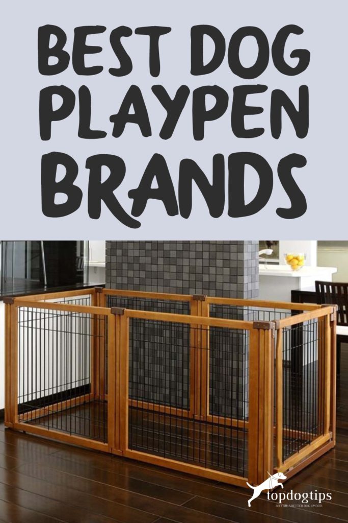 Best Dog Playpen Brands