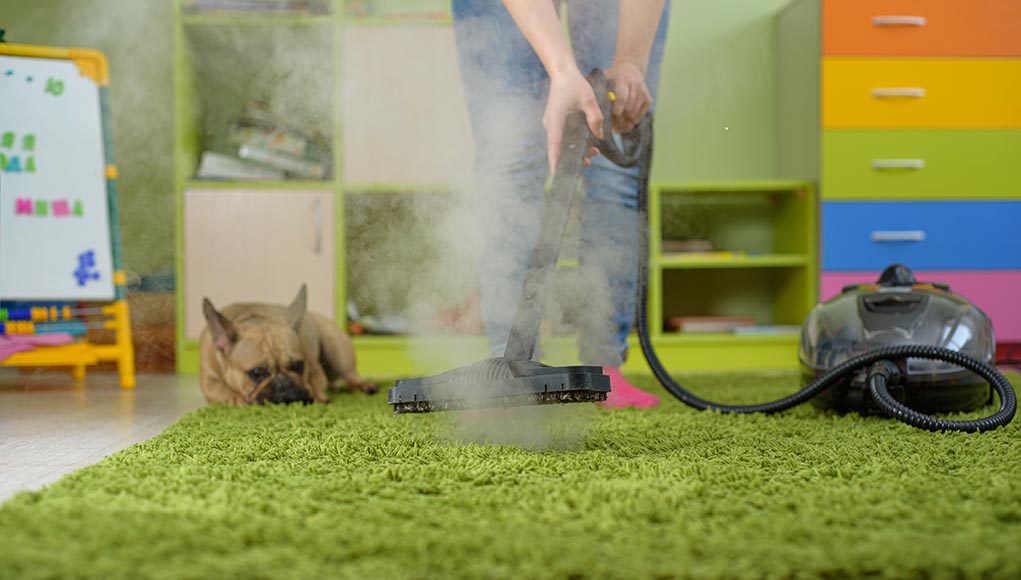 Carpet cleaner for pets