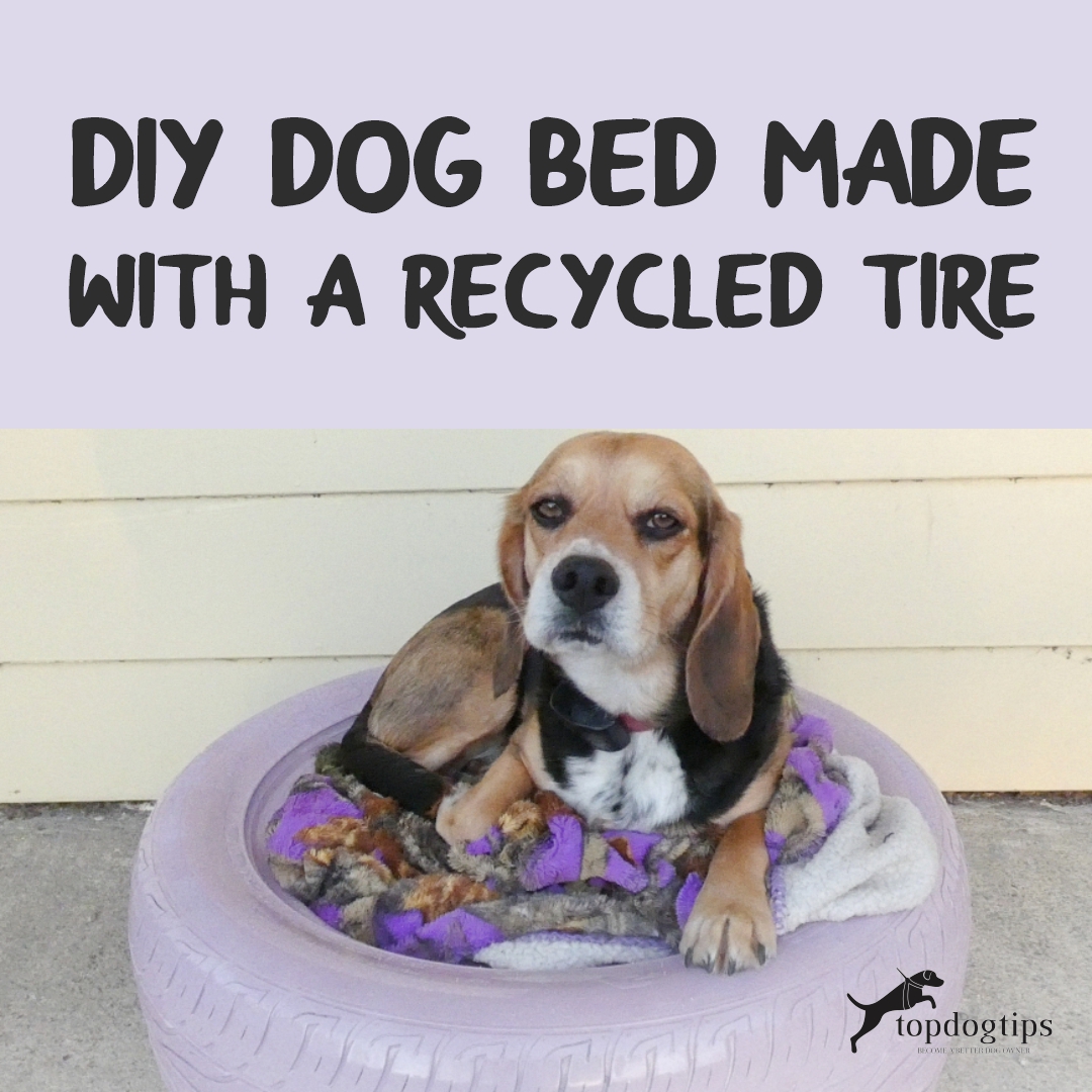 Homemade dog bed