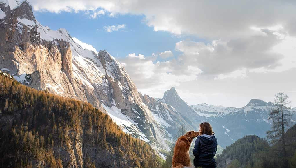 Dog-friendly hikes