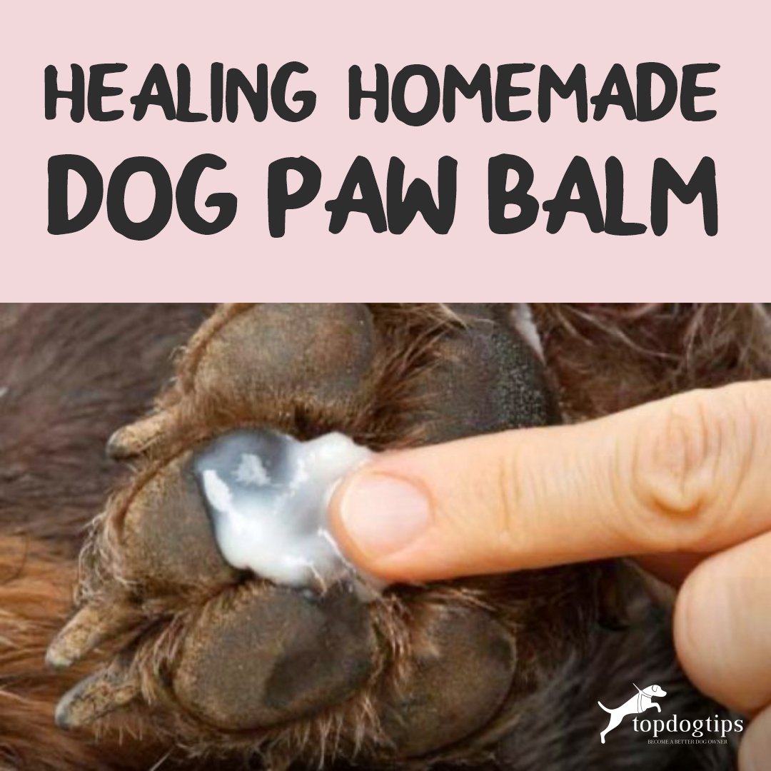 Homemade Dog Paw Balm