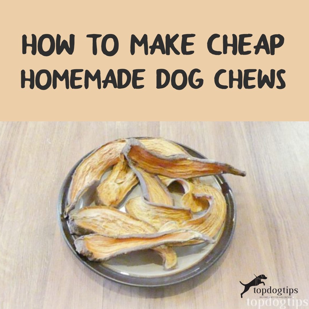  Homemade Dog Chews