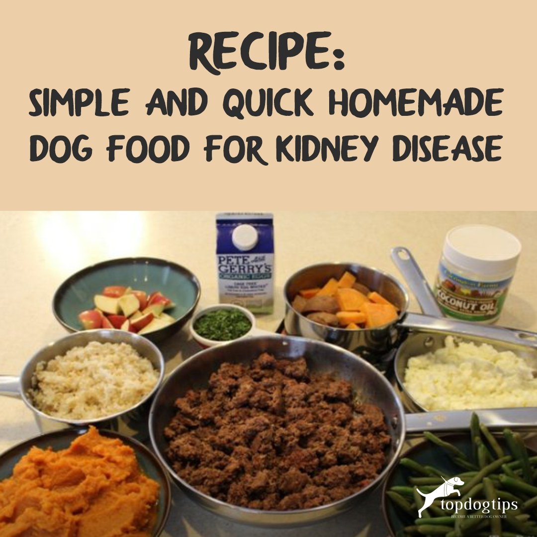 Homemade Dog Food 