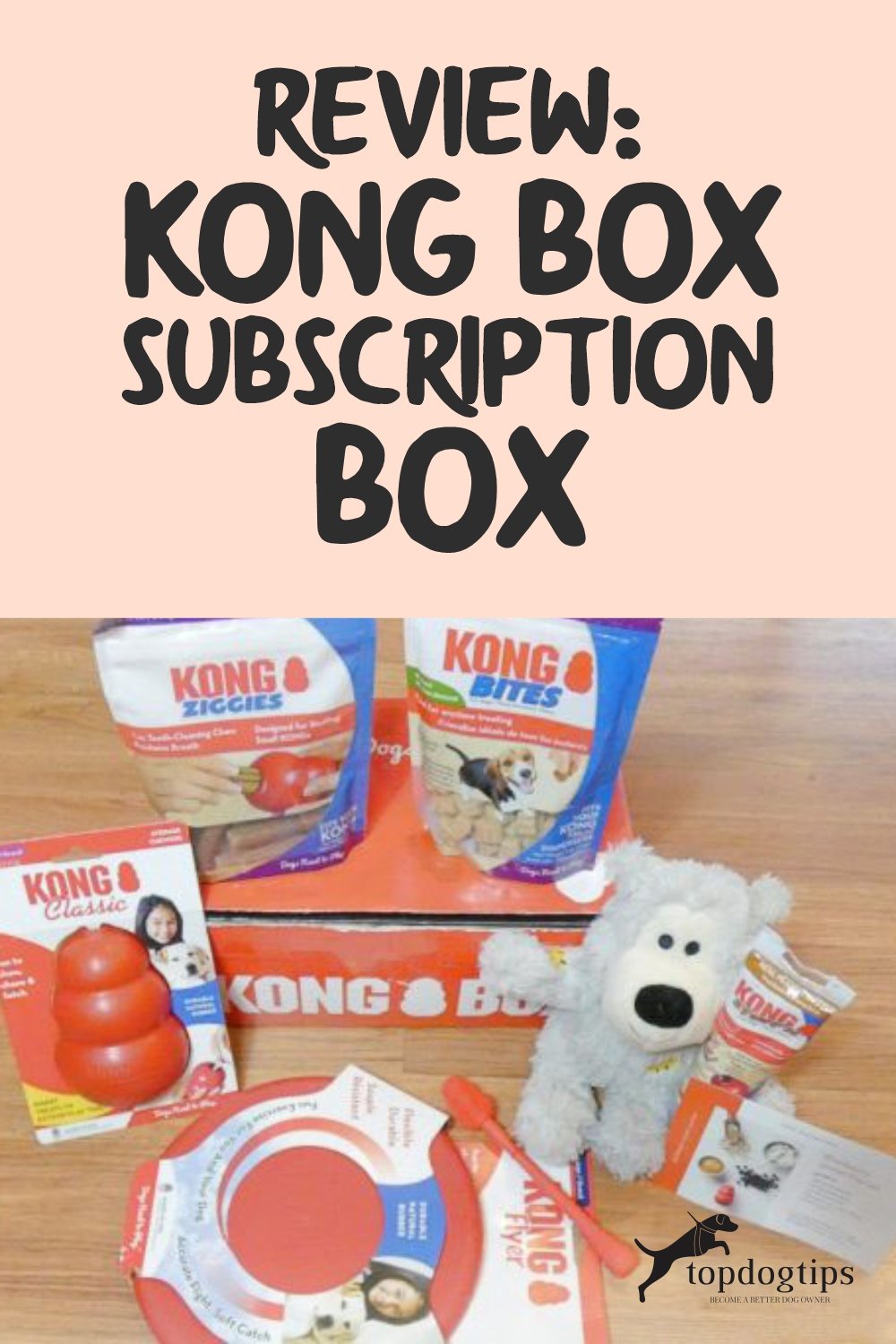 KONG Box Subscription 