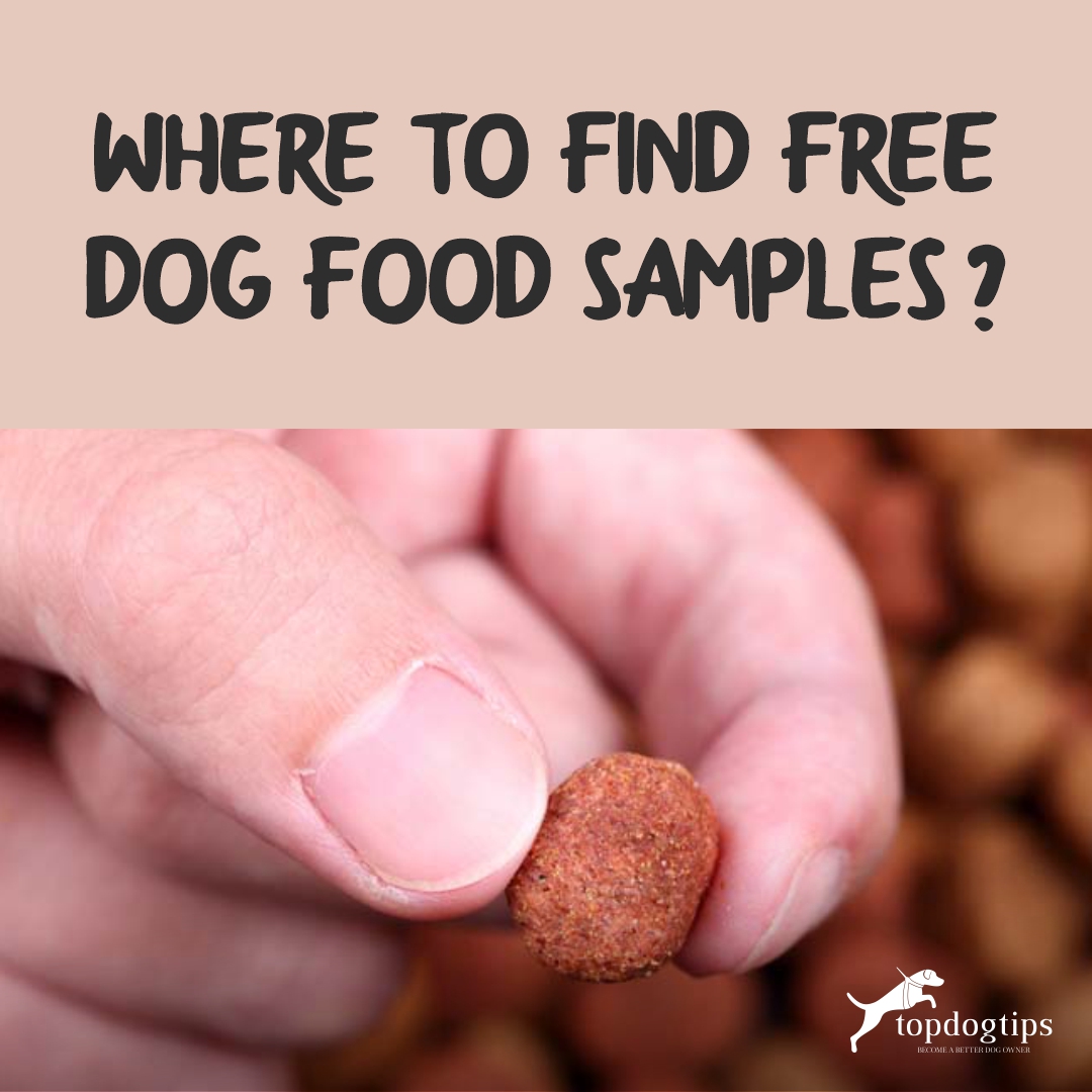 FREE Dog Food Samples