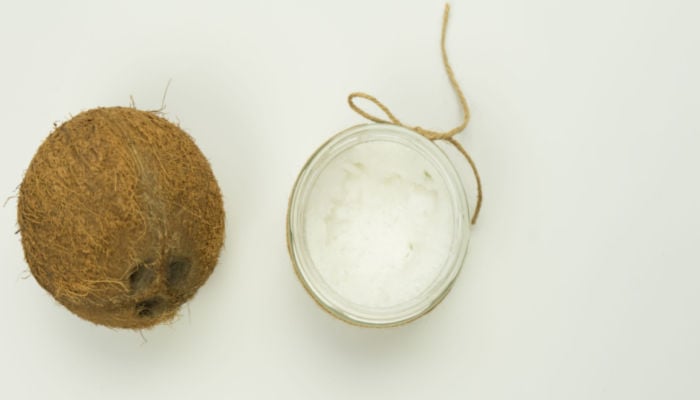 home remedy for dog ear infection coconut oil