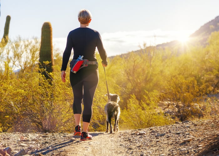 dog-friendly hikes