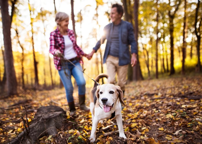 dog-friendly hikes