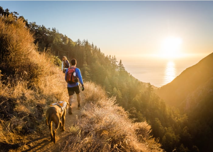 dog-friendly hikes