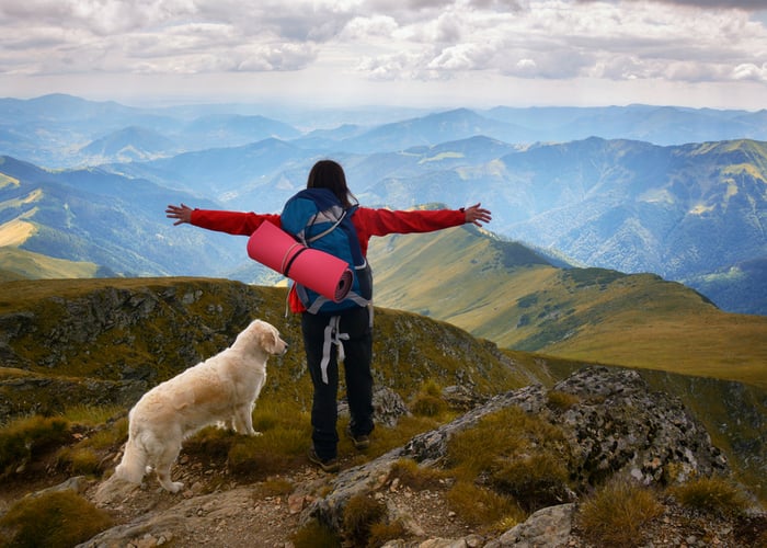 dog-friendly hikes