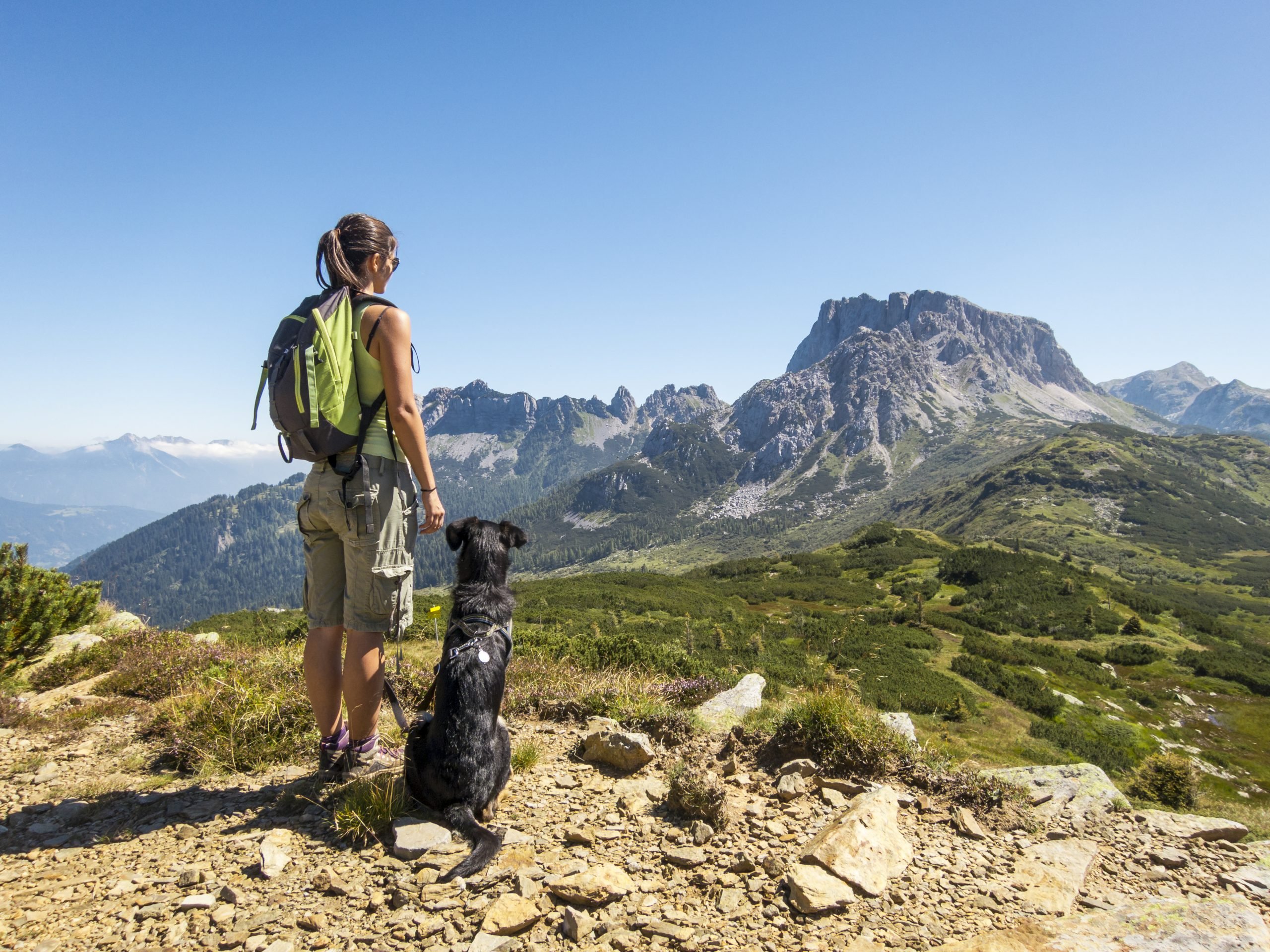 dog-friendly hikes