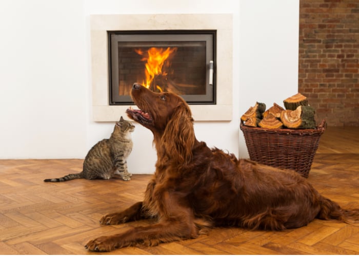 Prevalence of Home Fires Caused By Pets