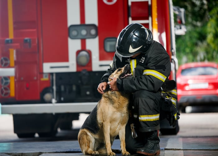 Final Thoughts about Pet's Fire Safety