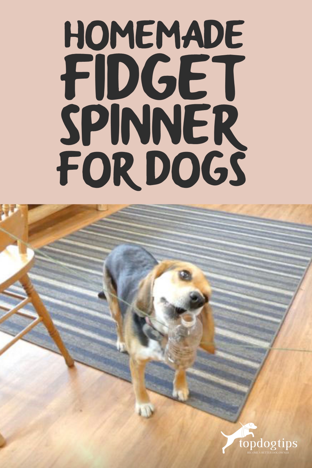 Homemade Fidget Spinner for Dogs