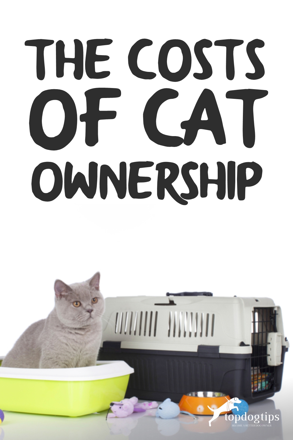 Costs of Cat Ownership