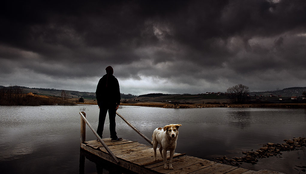 hurricane and pets