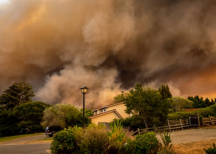 Pet's fire safety during wildfire