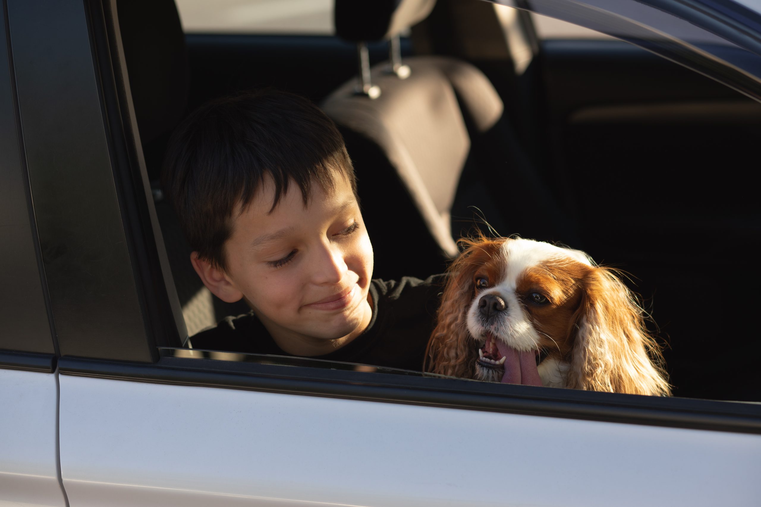 family bringing dog when evacuating