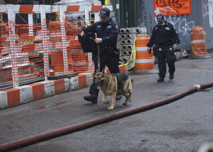 police k-9s