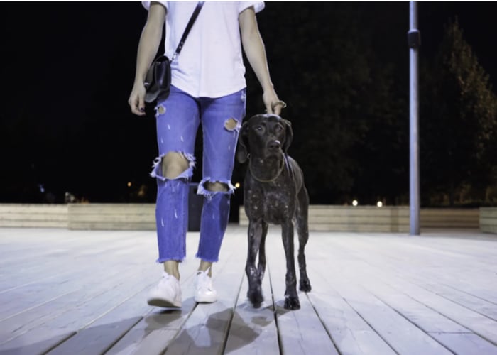 Walking at night to protect dog paws