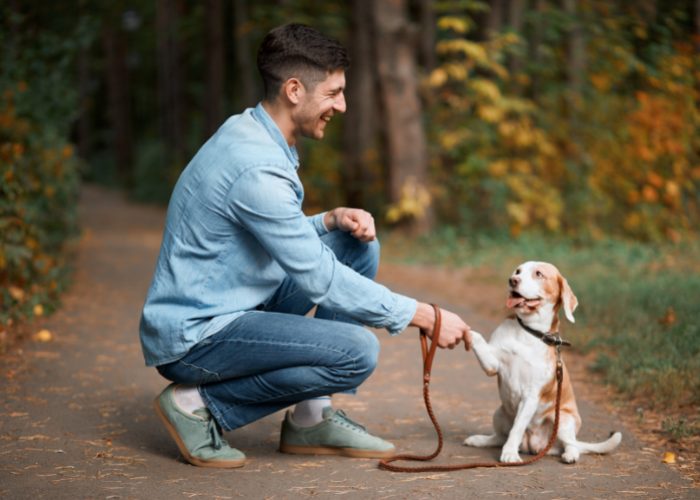 Only Let Your Dog Greet A Stranger If They Ask