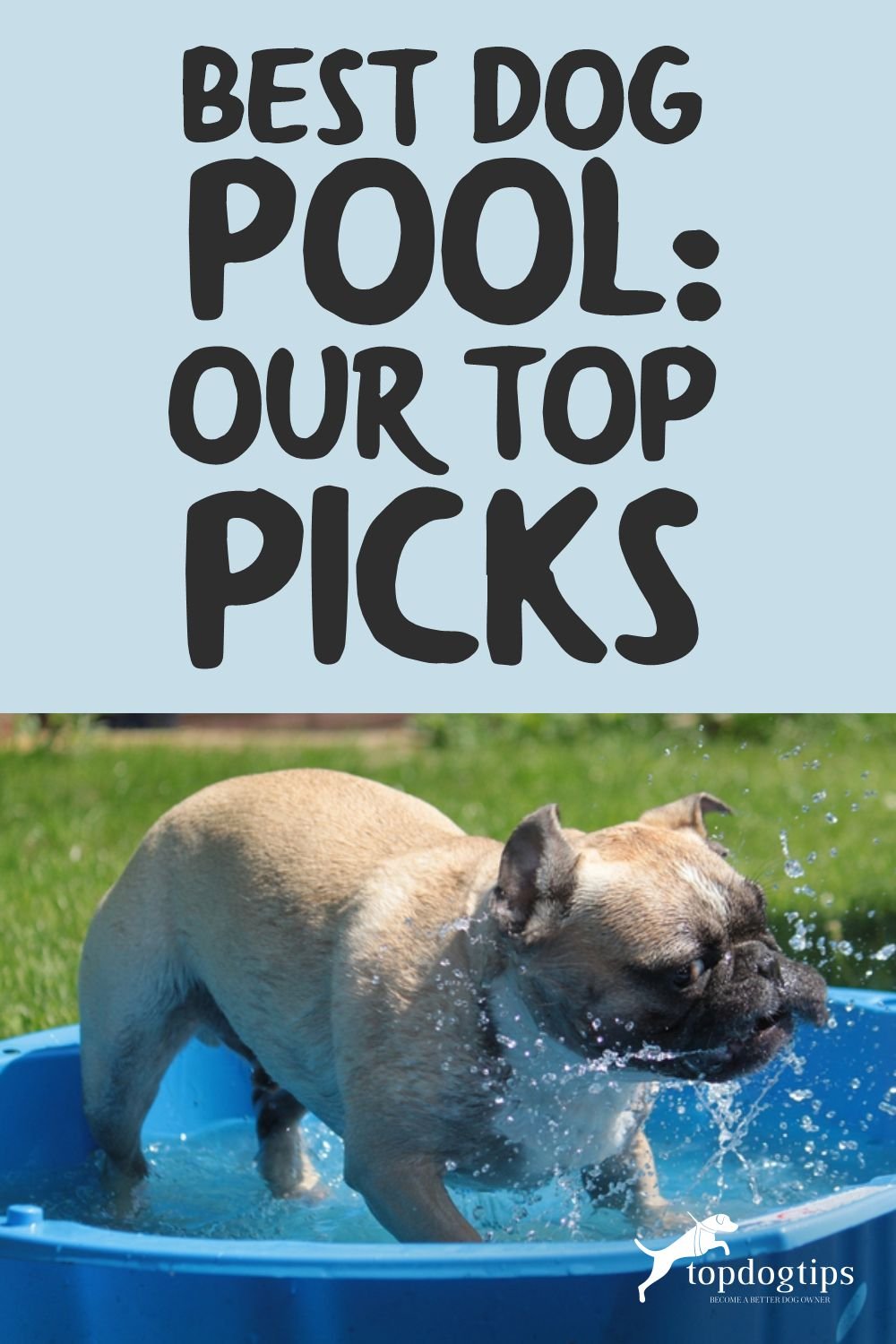 Dog Pool