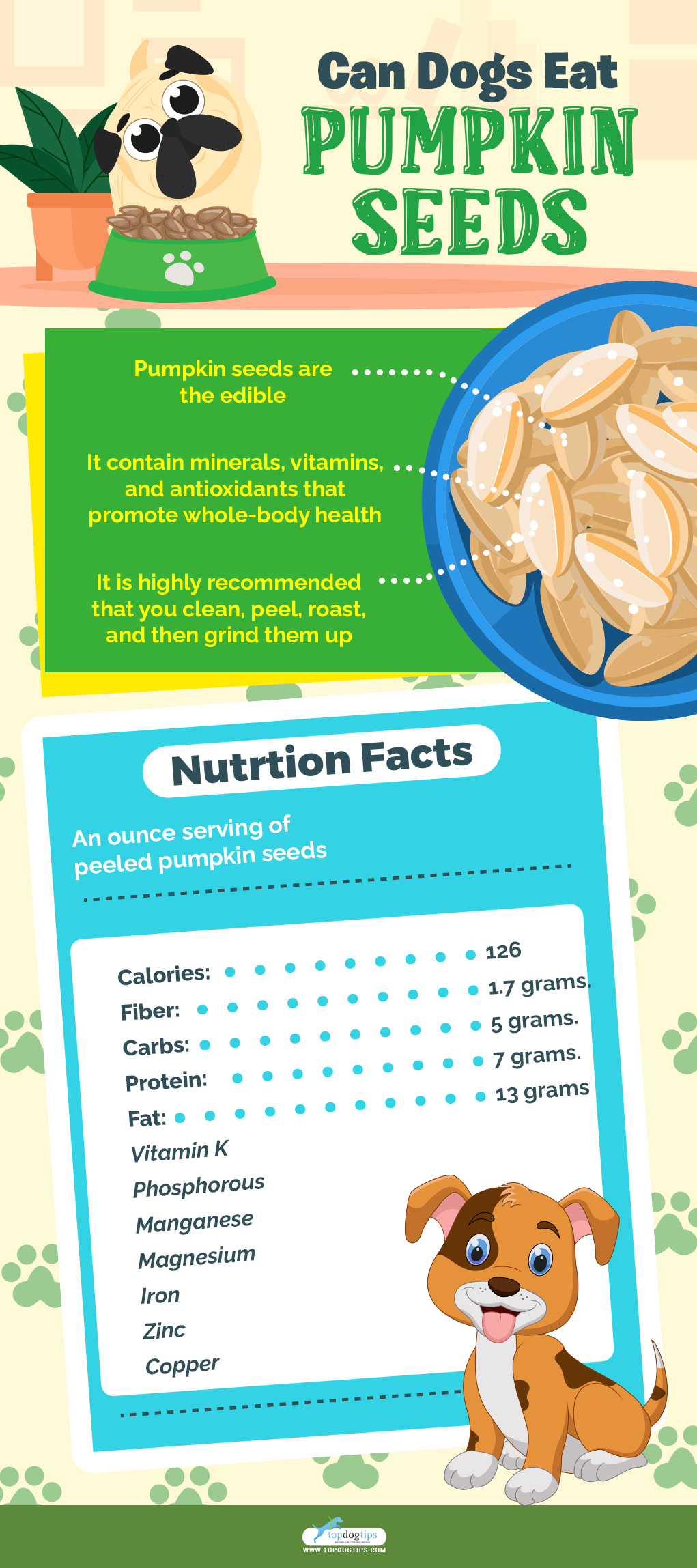 Can Dogs Eat Pumpkin Seeds?